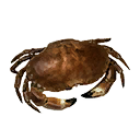 Savory Shellfish icon