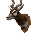 Antelope Head Trophy icon