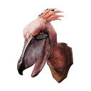 Shoebill Trophy icon