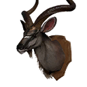 Kudo Head Trophy icon