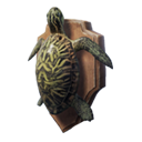 Turtle Trophy icon
