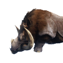 Tuskbeast Carcass icon