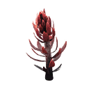 Volcanic Flower icon