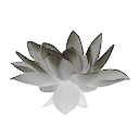 Frost Lotus Flower icon