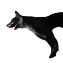 Feral Dog Carcass icon