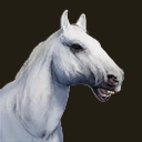 White Horse (Pet) icon